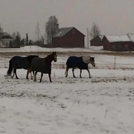 Holand Gaardsmotel 3* Løken